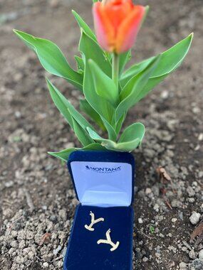 Montana Silversmiths Gold Yellowstone Brand Earrings NIB